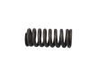 Ki-Gas Pump Valve Spring